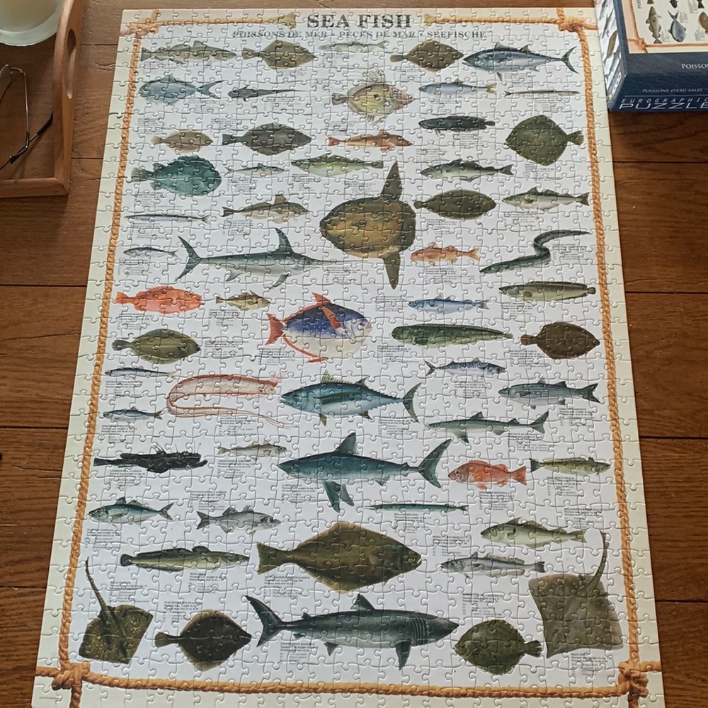 Eurographics Sea Fish 1,000 piece jigsaw puzzle